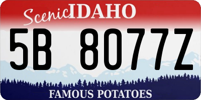 ID license plate 5B8077Z