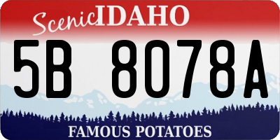 ID license plate 5B8078A