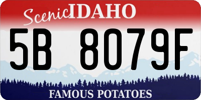 ID license plate 5B8079F