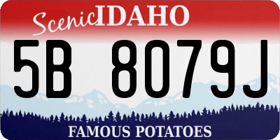 ID license plate 5B8079J