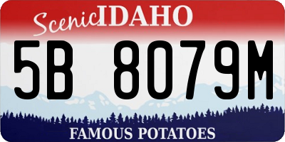 ID license plate 5B8079M