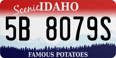 ID license plate 5B8079S