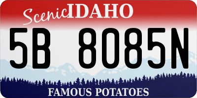 ID license plate 5B8085N