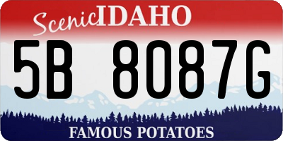 ID license plate 5B8087G