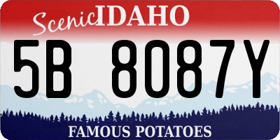 ID license plate 5B8087Y
