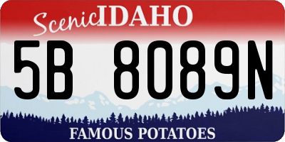 ID license plate 5B8089N