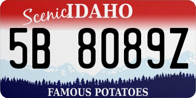 ID license plate 5B8089Z