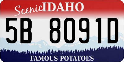 ID license plate 5B8091D