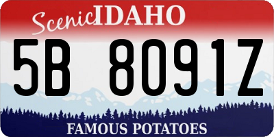 ID license plate 5B8091Z