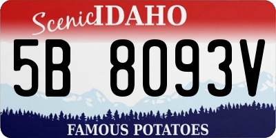 ID license plate 5B8093V