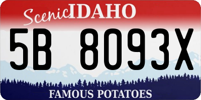 ID license plate 5B8093X