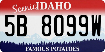 ID license plate 5B8099W