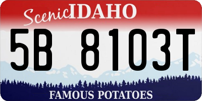 ID license plate 5B8103T