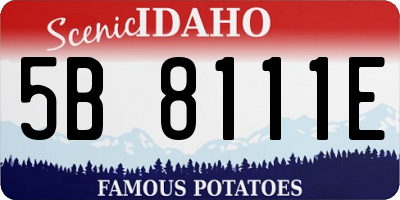 ID license plate 5B8111E