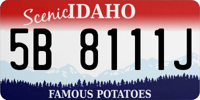 ID license plate 5B8111J