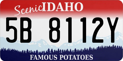 ID license plate 5B8112Y