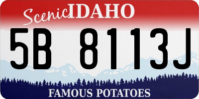 ID license plate 5B8113J