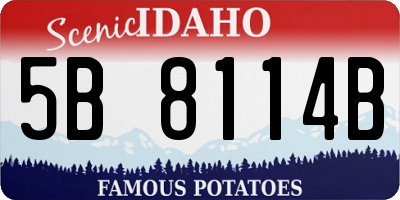 ID license plate 5B8114B