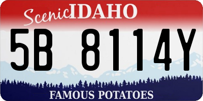 ID license plate 5B8114Y