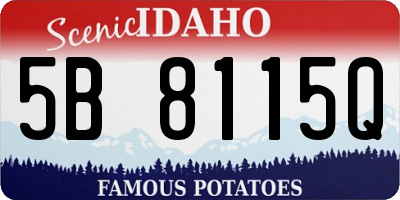 ID license plate 5B8115Q