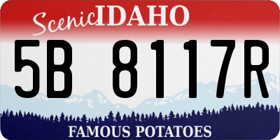 ID license plate 5B8117R