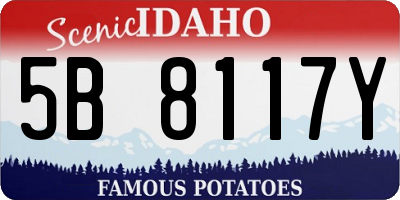 ID license plate 5B8117Y