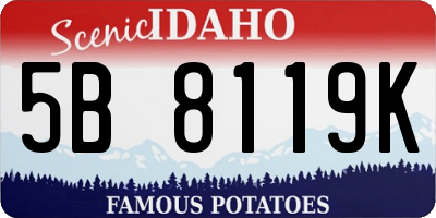 ID license plate 5B8119K