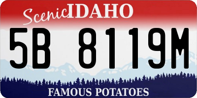ID license plate 5B8119M