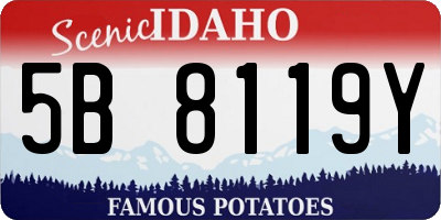 ID license plate 5B8119Y