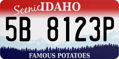 ID license plate 5B8123P