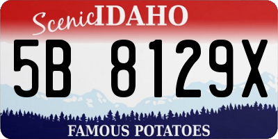 ID license plate 5B8129X