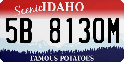 ID license plate 5B8130M