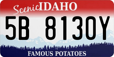 ID license plate 5B8130Y