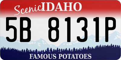 ID license plate 5B8131P