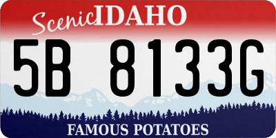 ID license plate 5B8133G