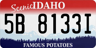 ID license plate 5B8133I
