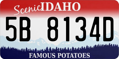 ID license plate 5B8134D