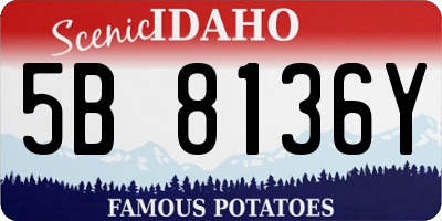 ID license plate 5B8136Y