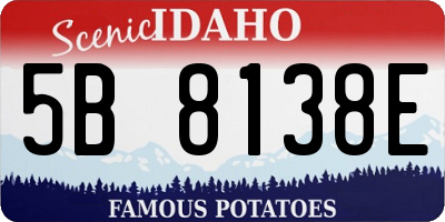 ID license plate 5B8138E