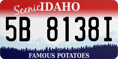 ID license plate 5B8138I