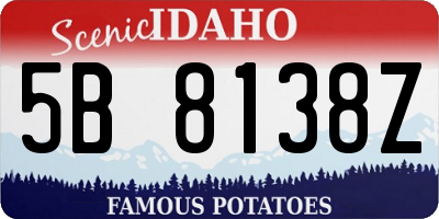 ID license plate 5B8138Z