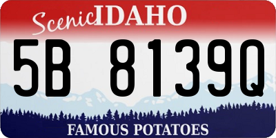 ID license plate 5B8139Q