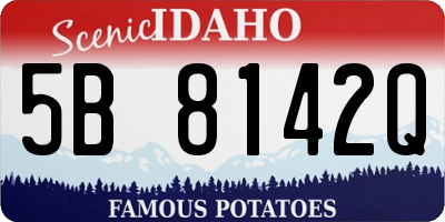 ID license plate 5B8142Q