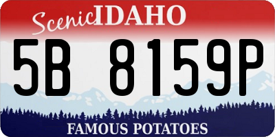 ID license plate 5B8159P