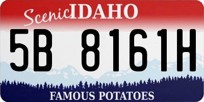 ID license plate 5B8161H