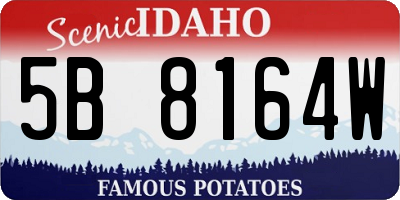 ID license plate 5B8164W