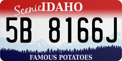 ID license plate 5B8166J