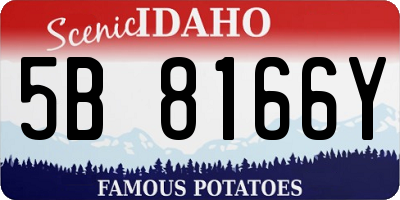 ID license plate 5B8166Y