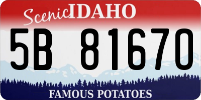 ID license plate 5B8167O