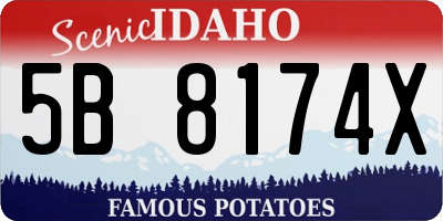 ID license plate 5B8174X